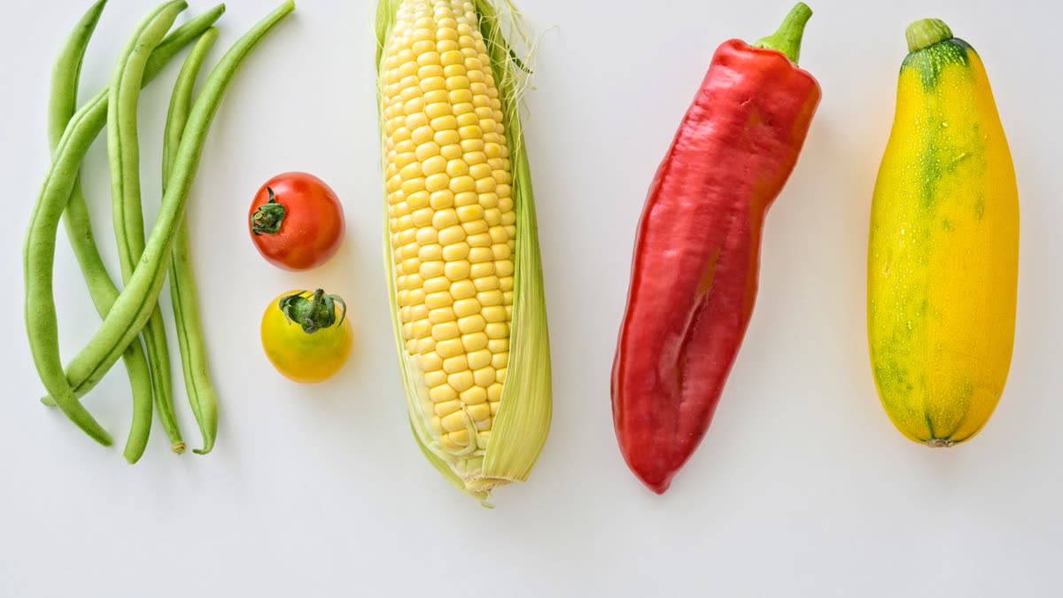 白い背景に並んだ新鮮な野菜